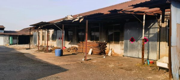 龍山辦泊子村北工業(yè)園廠房帶250千瓦變壓器