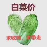 @@@白菜價！29.9萬，萬利城，3樓毛坯